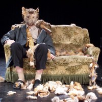 Zwischenhirngebiete - Figurenkombinat (Anja Müller)